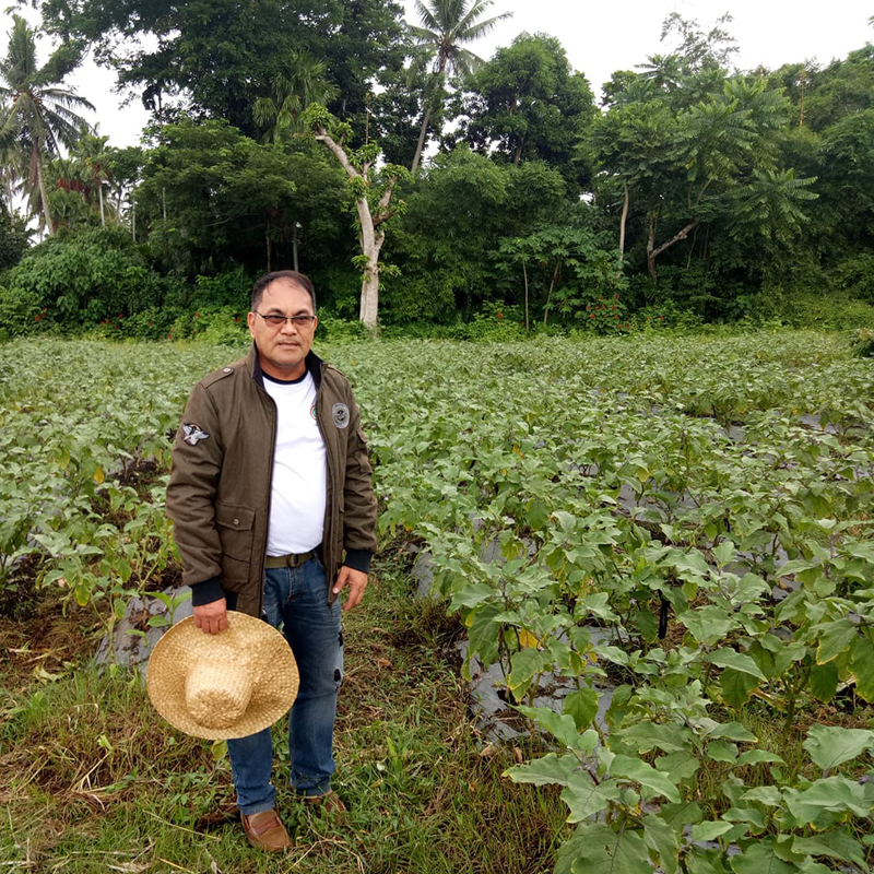 consulting services - food security and climate change adaptation